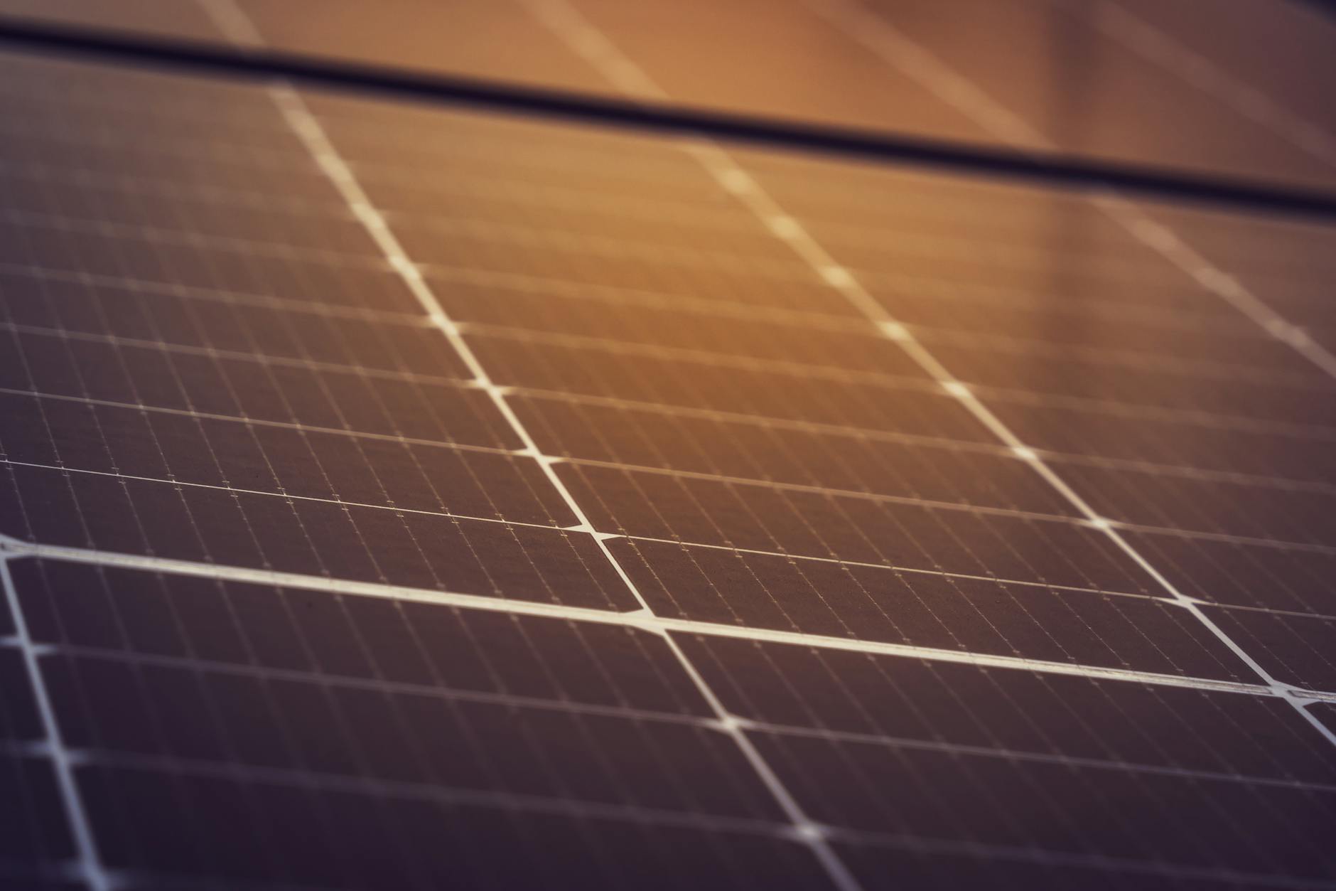 Solar Next na Intersolar Nordeste 2026